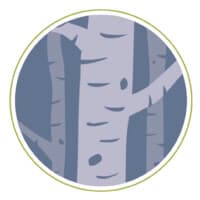 Birch Tree Psychotherapy logo
