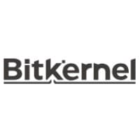 BitKernel logo