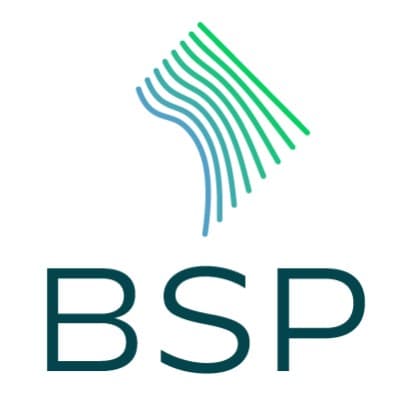 Boundary Stone Partners logo
