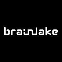 Brainlake logo