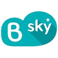 BSKY INTERNATIONAL logo