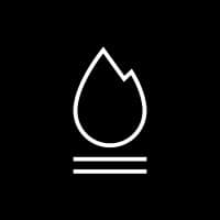 Excelsior Works logo