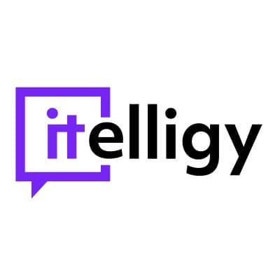 itelligy - digital experts GmbH & Co. KG logo