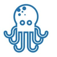 Octopus IT - Expert du recrutement tech logo