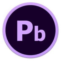 PurpleBrand logo