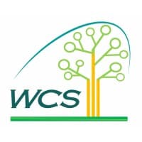 Wood Consulting Services logo