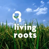 Living Roots logo